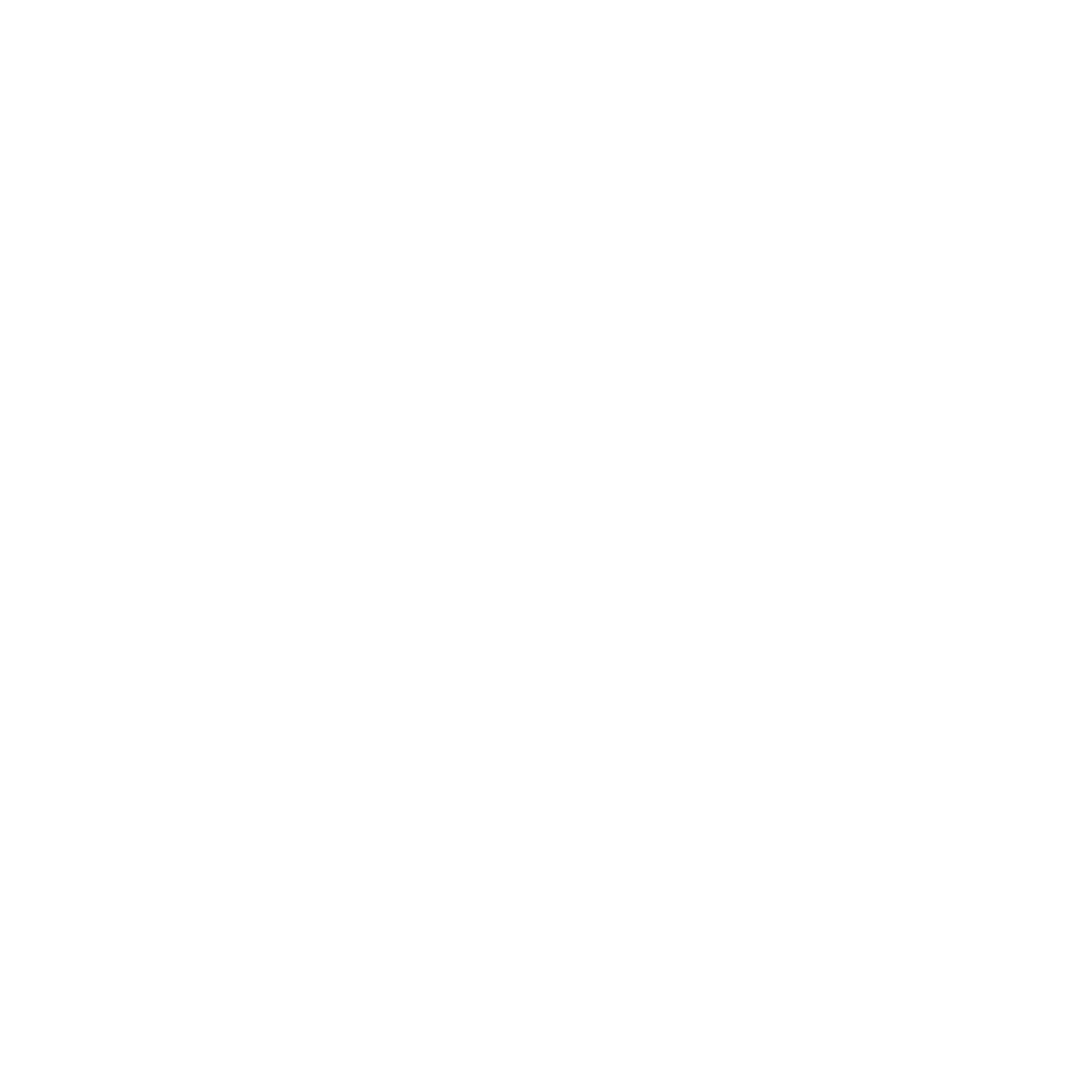 pinterest icon