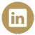 linkedin icon