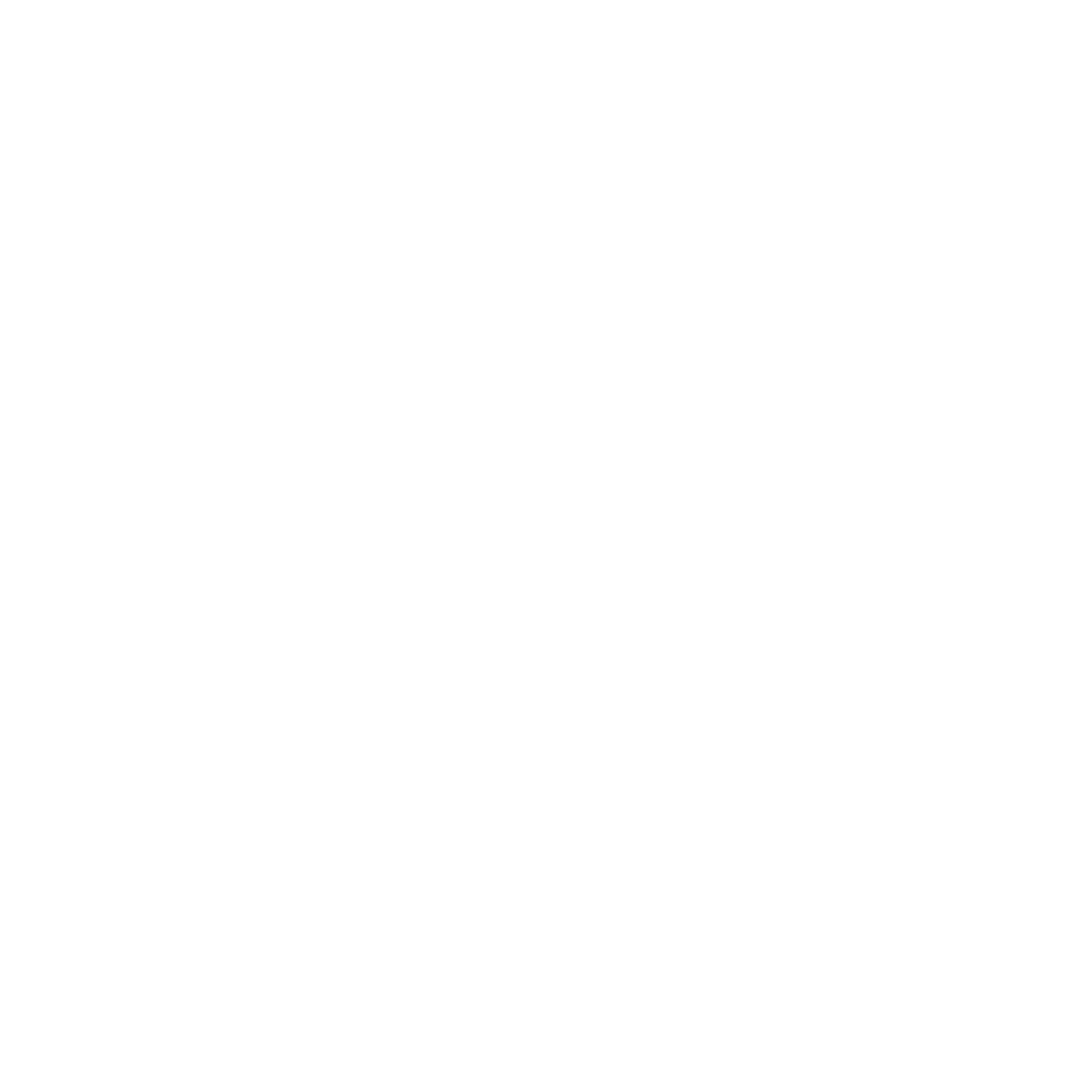 spotify icon
