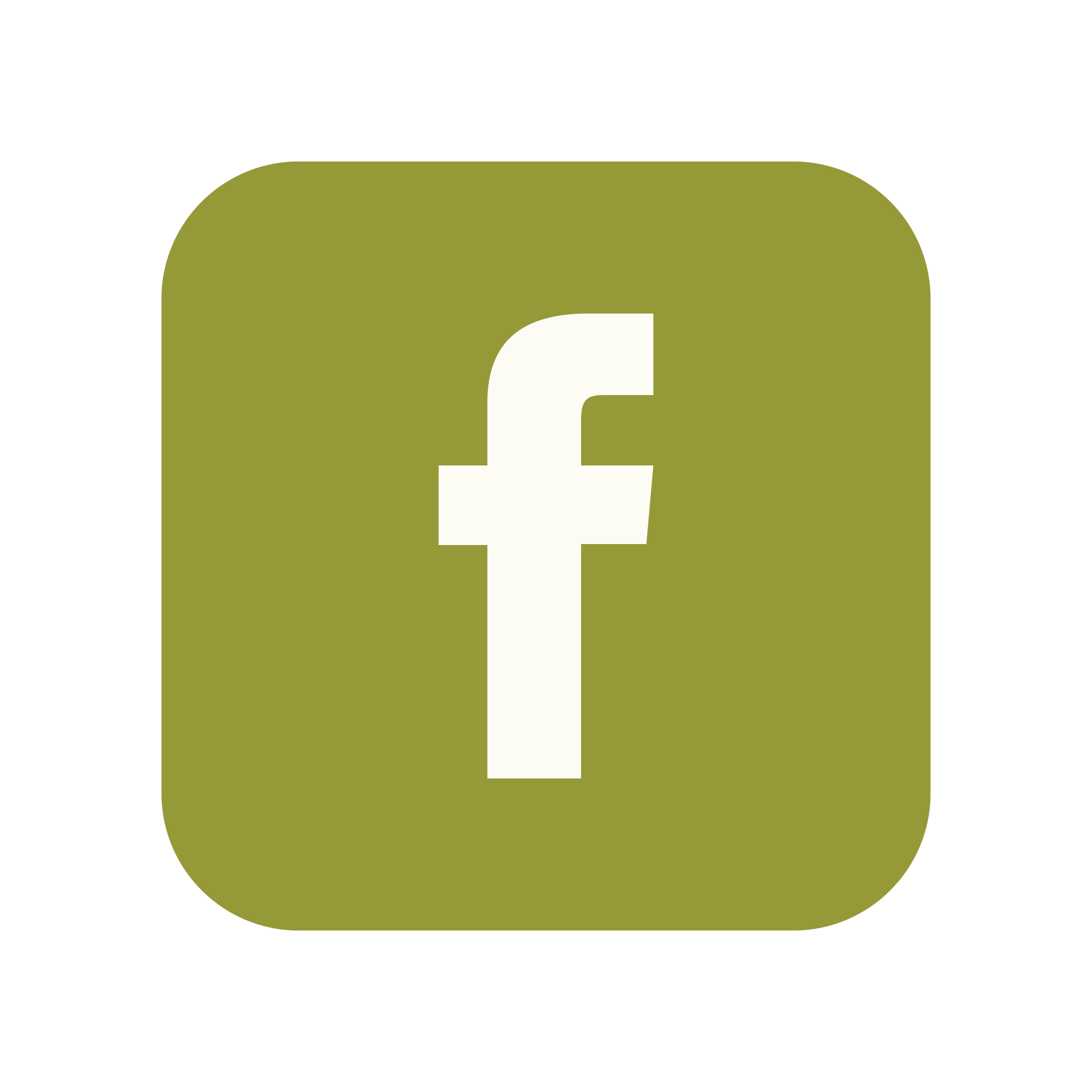facebook icon