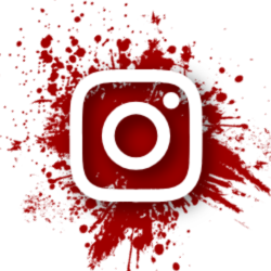 instagram icon