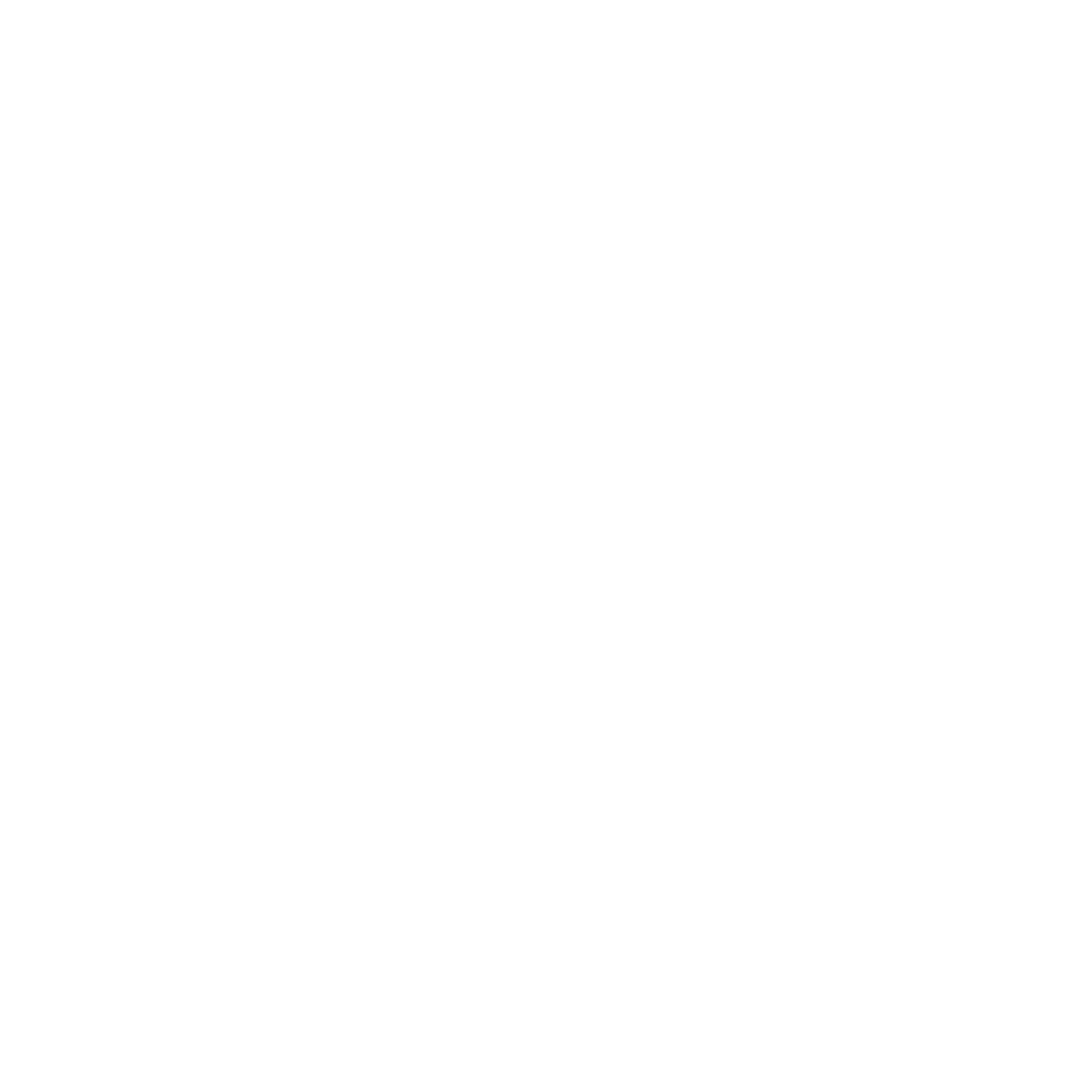 tiktok icon
