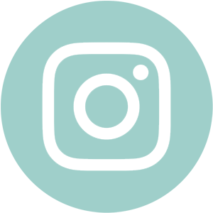 instagram icon