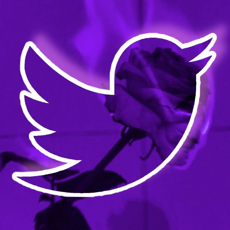 twitter icon