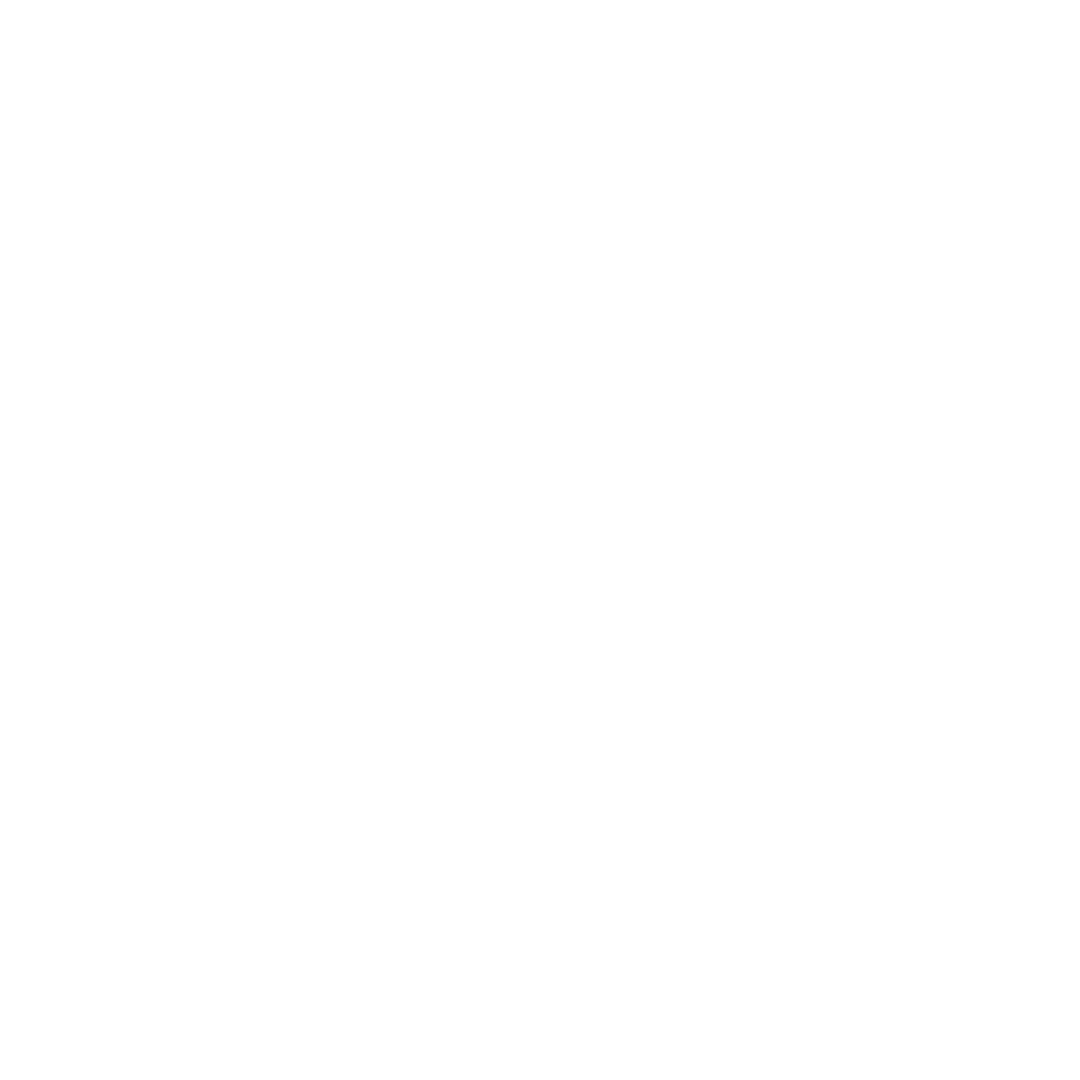 twitter icon