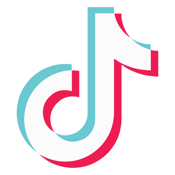 tiktok icon