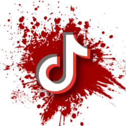 tiktok icon