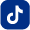 tiktok icon