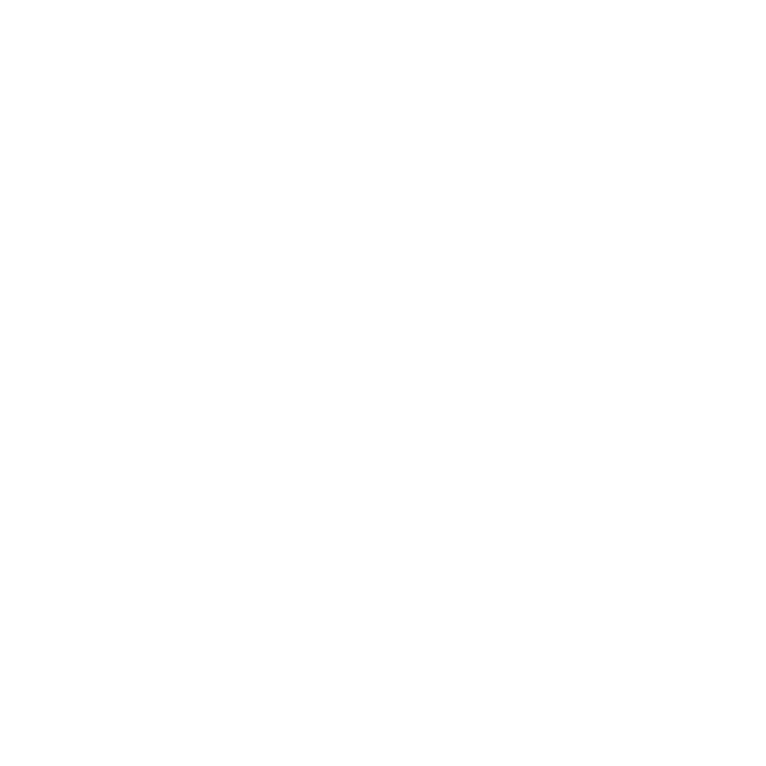 tiktok icon